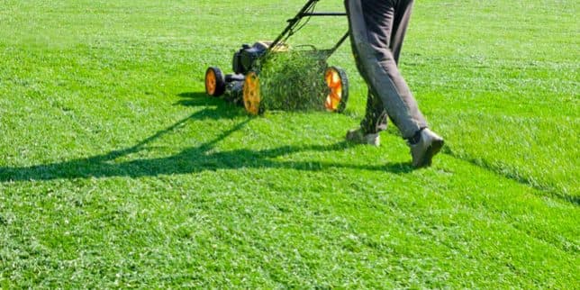 Professional lawn mowing service with push mower cutting green grass in Lake Orion Michigan