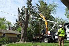 Emergency storm damage tree removal using a crane truck in a residential neighborhood in Lake Orion Michigan