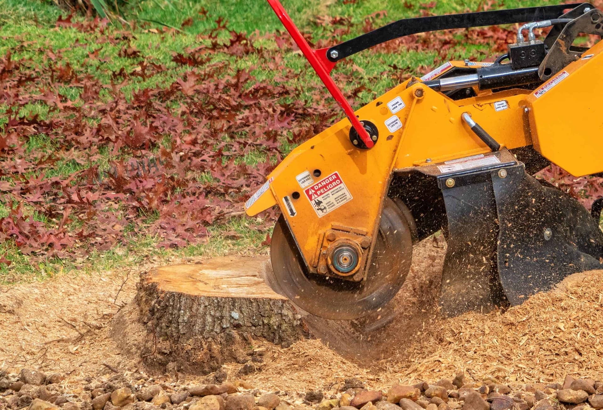 Yellow stump grinder machine actively grinding a tree stump below grade in Lake Orion MI